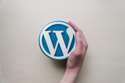 Plugins esenciales de WordPress para blogs